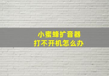 小蜜蜂扩音器打不开机怎么办