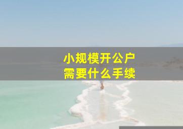 小规模开公户需要什么手续