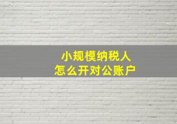 小规模纳税人怎么开对公账户