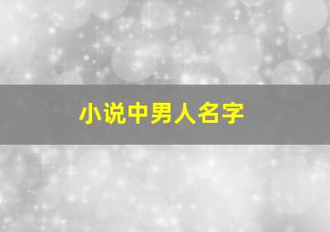 小说中男人名字