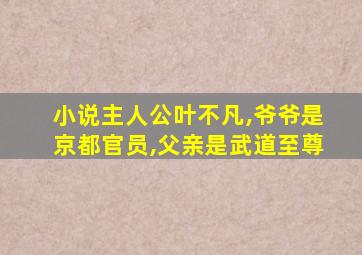 小说主人公叶不凡,爷爷是京都官员,父亲是武道至尊