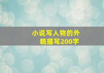 小说写人物的外貌描写200字