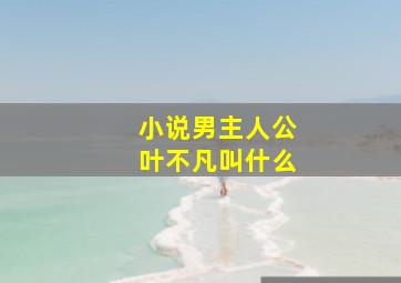 小说男主人公叶不凡叫什么