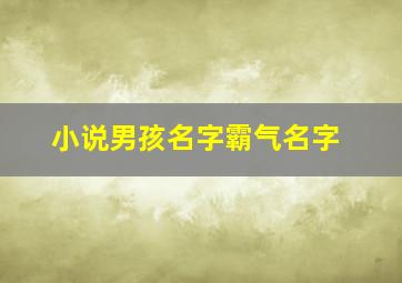 小说男孩名字霸气名字