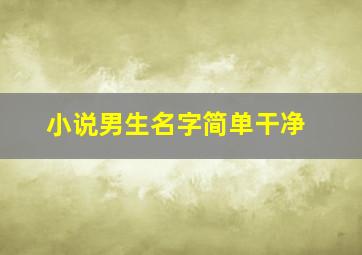 小说男生名字简单干净