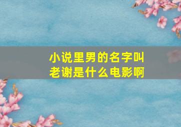 小说里男的名字叫老谢是什么电影啊