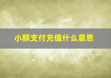 小额支付充值什么意思