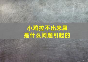 小鸡拉不出来屎是什么问题引起的