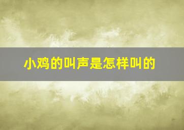 小鸡的叫声是怎样叫的