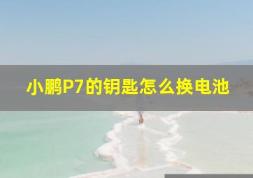 小鹏P7的钥匙怎么换电池