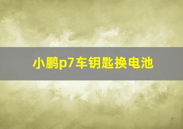 小鹏p7车钥匙换电池