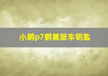 小鹏p7鹏翼版车钥匙