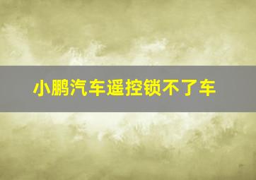 小鹏汽车遥控锁不了车