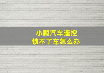 小鹏汽车遥控锁不了车怎么办