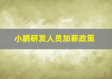 小鹏研发人员加薪政策