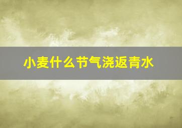 小麦什么节气浇返青水