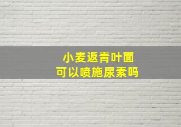 小麦返青叶面可以喷施尿素吗