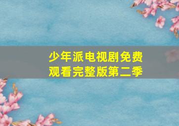 少年派电视剧免费观看完整版第二季