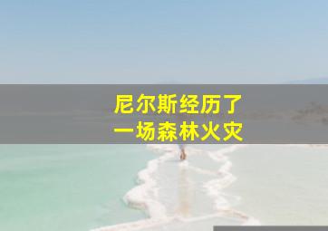 尼尔斯经历了一场森林火灾