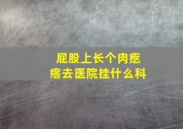 屁股上长个肉疙瘩去医院挂什么科