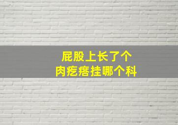 屁股上长了个肉疙瘩挂哪个科