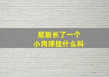 屁股长了一个小肉球挂什么科