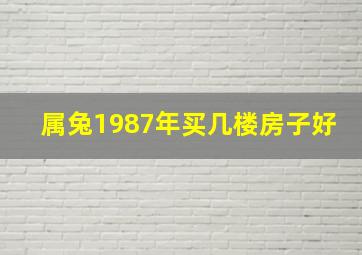 属兔1987年买几楼房子好