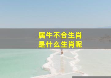 属牛不合生肖是什么生肖呢