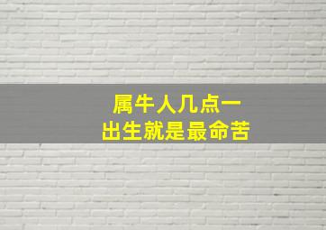 属牛人几点一出生就是最命苦