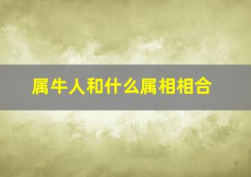 属牛人和什么属相相合