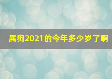 属狗2021的今年多少岁了啊