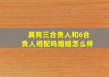 属狗三合贵人和6合贵人相配吗婚姻怎么样