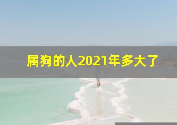 属狗的人2021年多大了