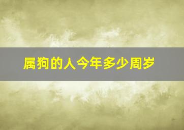 属狗的人今年多少周岁