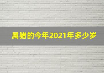 属猪的今年2021年多少岁