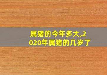 属猪的今年多大,2020年属猪的几岁了