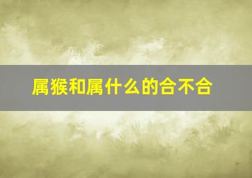 属猴和属什么的合不合