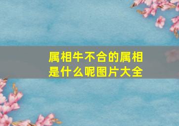 属相牛不合的属相是什么呢图片大全