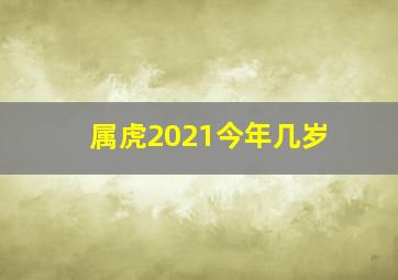 属虎2021今年几岁