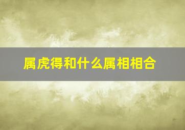 属虎得和什么属相相合