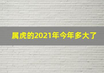 属虎的2021年今年多大了