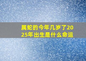 属蛇的今年几岁了2025年出生是什么命运