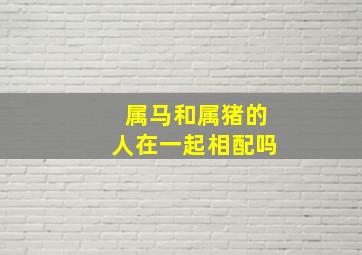 属马和属猪的人在一起相配吗