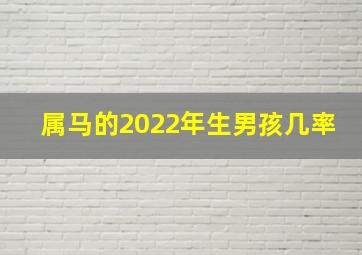 属马的2022年生男孩几率