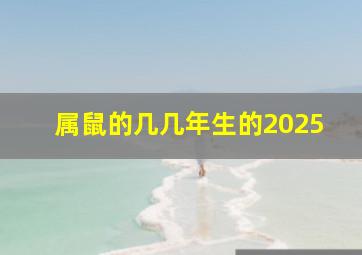 属鼠的几几年生的2025