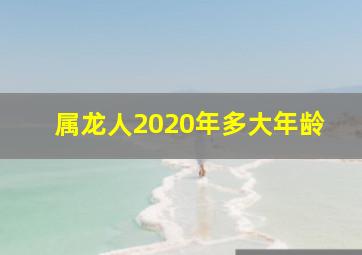 属龙人2020年多大年龄