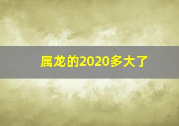 属龙的2020多大了