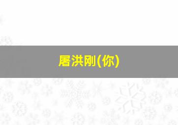 屠洪刚(你)