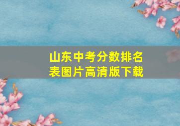 山东中考分数排名表图片高清版下载