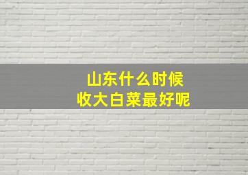 山东什么时候收大白菜最好呢